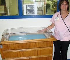 safe haven incubator