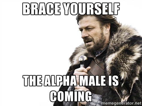 alpha