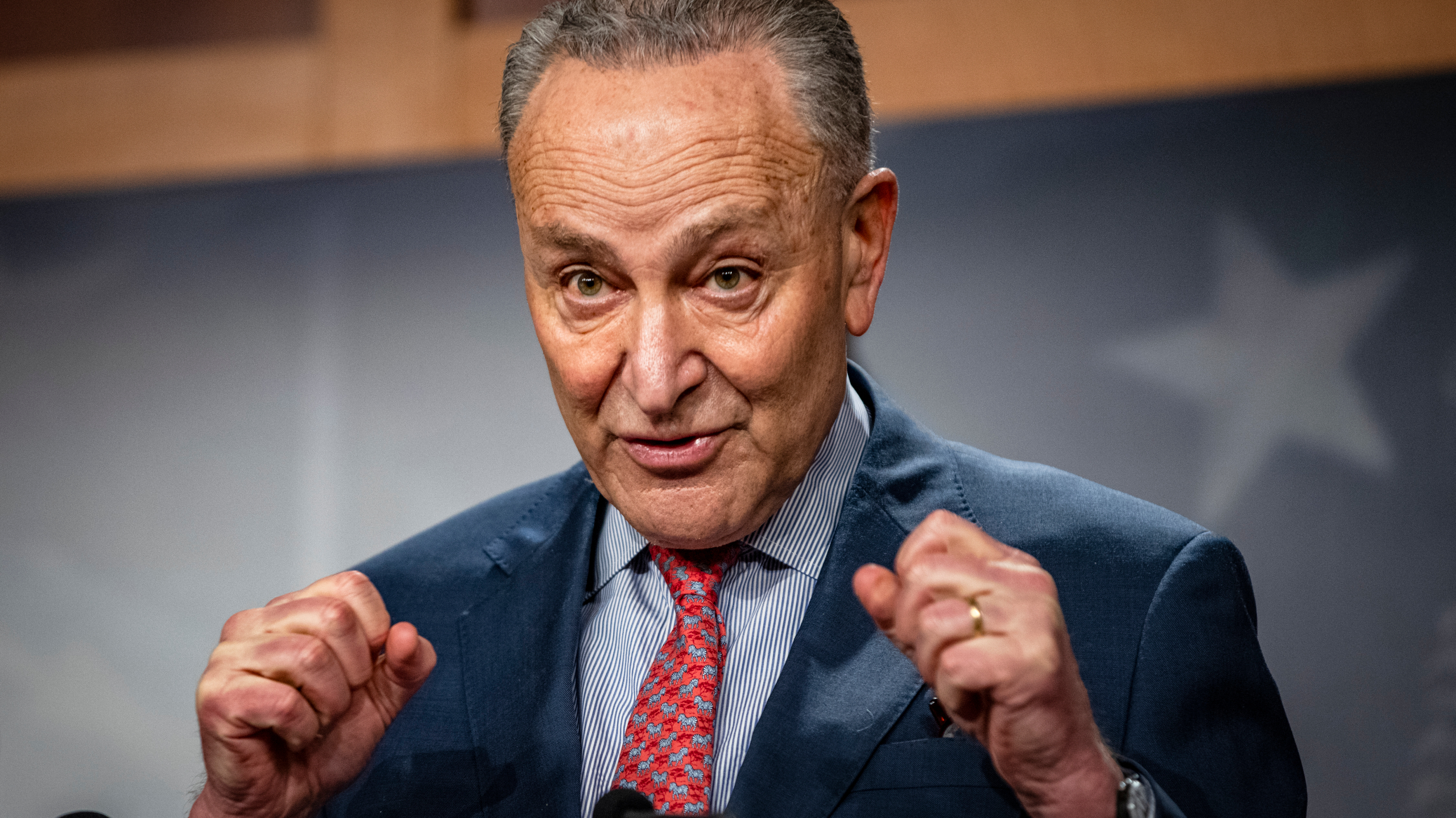 Congress Schumer